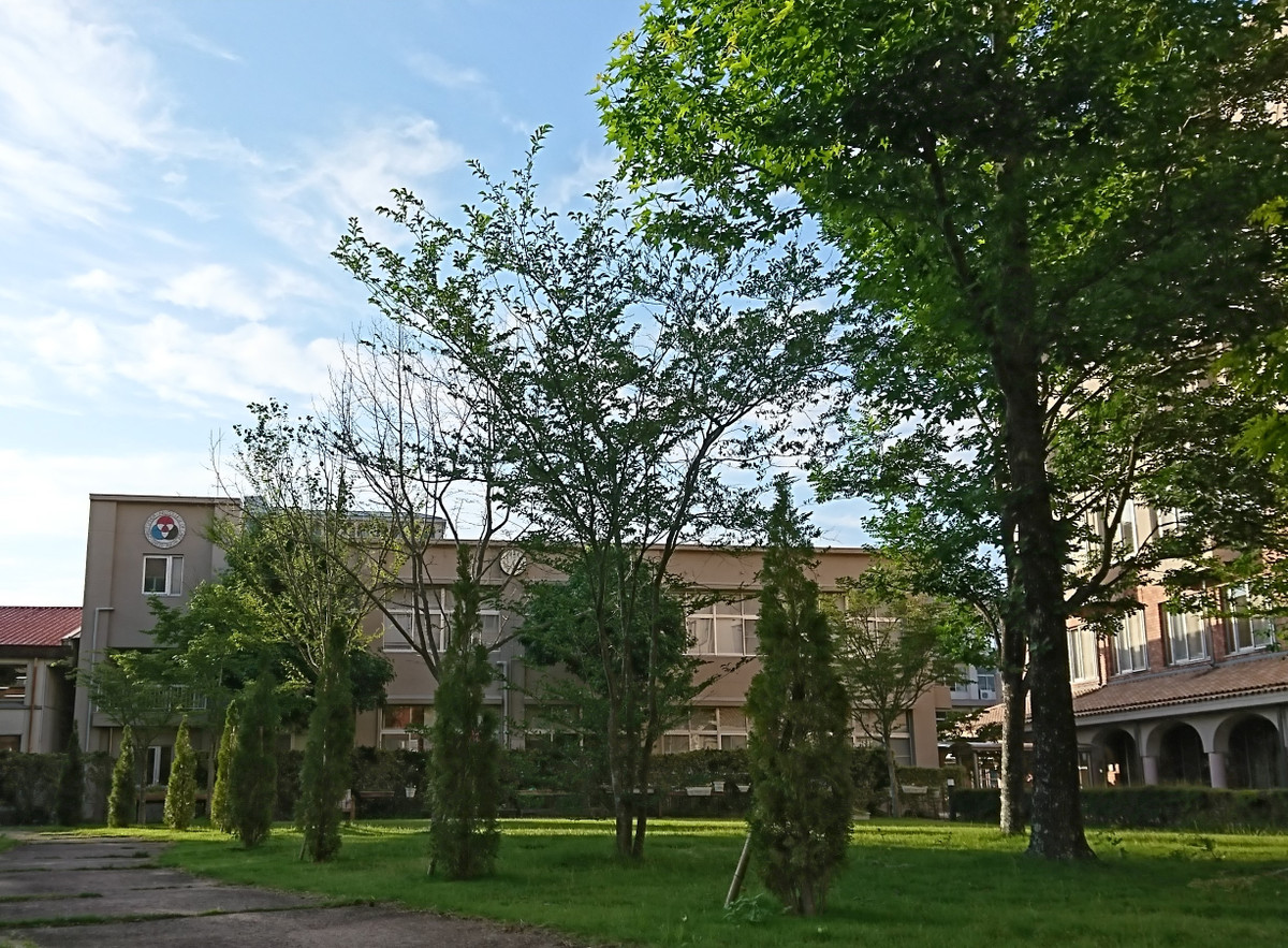 聖隷クリストファー大学介護福祉専門学校ブログ 来週から実習が始まります（2年次生）